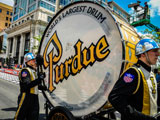 IPL 500 Festival Parade Photo