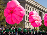 National Cherry Blossom Festival Parade