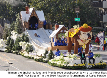 Tillman the English bulldog and friends rode snowboards down a 114-foot float titled Hot Doggin in the 2010 Pasadena Tournament of Roses Parade.