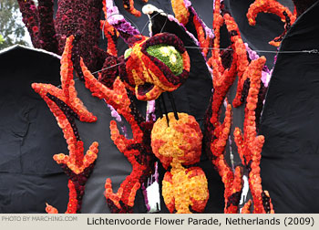 sss 2009 Bloemencorso Lichtenvoorde Photo