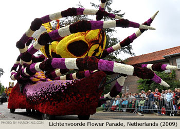 sss 2009 Bloemencorso Lichtenvoorde Photo