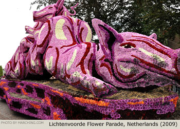 sss 2009 Bloemencorso Lichtenvoorde Photo