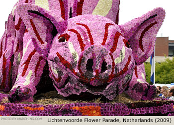 sss 2009 Bloemencorso Lichtenvoorde Photo