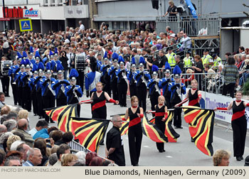 Blue Diamonds 2009 Bloemencorso Zundert Photo