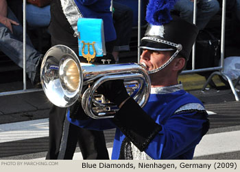 Blue Diamonds 2009 Bloemencorso Zundert Photo