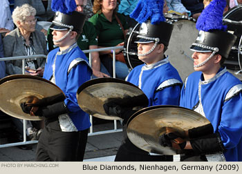 Blue Diamonds 2009 Bloemencorso Zundert Photo