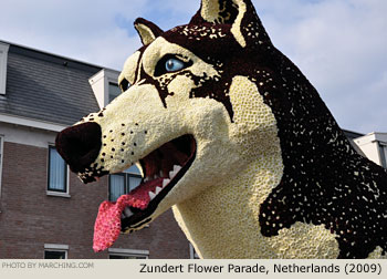 Corzo 2009 Bloemencorso Zundert Photo