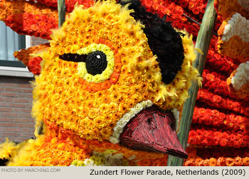 Ducks 2009 Bloemencorso Zundert Photo