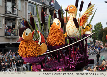 Ducks 2009 Bloemencorso Zundert Photo