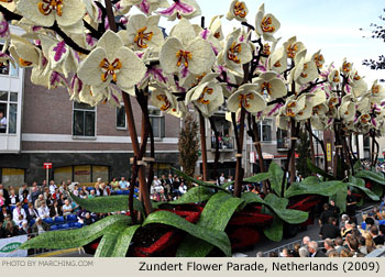 Orchids 2009 Bloemencorso Zundert Photo