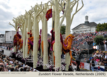 Woods 2009 Bloemencorso Zundert Photo