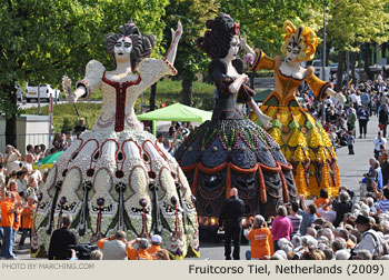 2009 Fruitcorso Tiel Photo