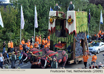 2009 Fruitcorso Tiel Photo