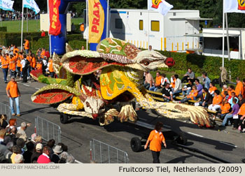 2009 Fruitcorso Tiel Photo