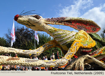 2009 Fruitcorso Tiel Photo