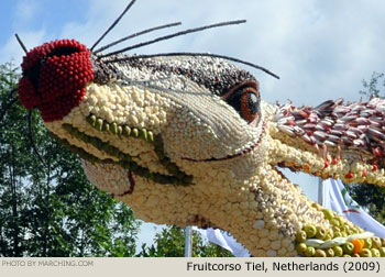 2009 Fruitcorso Tiel Photo