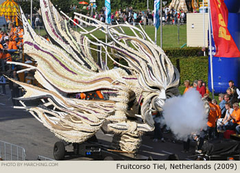 2009 Fruitcorso Tiel Photo