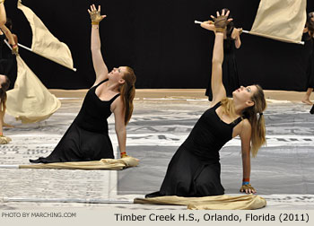 Timber Creek H.S. 2011 WGI World Championships Photo