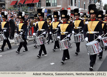 Adest Musica, Sassenheim, Netherlands 2012 Bloemencorso Zundert Photo