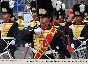 Adest Musica, Sassenheim, Netherlands 2012 Bloemencorso Zundert Photo