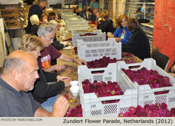 Flower preparation 2012 Bloemencorso Zundert Photo