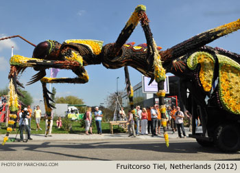 2012 Fruitcorso Tiel Photo