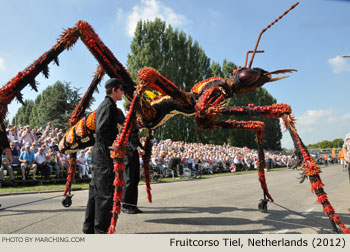 2012 Fruitcorso Tiel Photo