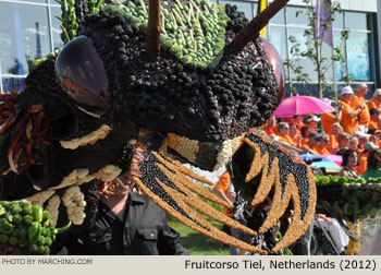 2012 Fruitcorso Tiel Photo