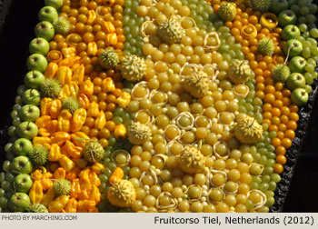 2012 Fruitcorso Tiel Photo