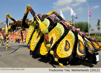 2012 Fruitcorso Tiel Photo