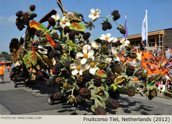 2012 Fruitcorso Tiel Photo