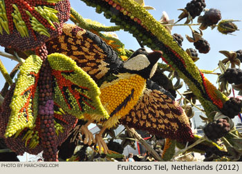 2012 Fruitcorso Tiel Photo