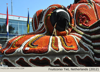 2012 Fruitcorso Tiel Photo