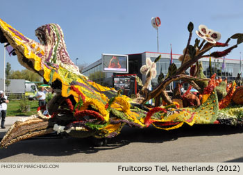 2012 Fruitcorso Tiel Photo