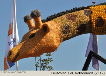 2012 Fruitcorso Tiel Photo