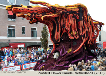 Black Gold 2013 Bloemencorso Zundert Photo