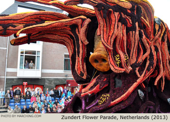 Black Gold 2013 Bloemencorso Zundert Photo