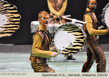 Sparkman H.S. Harvest Alabama 2014 WGI World Championships Photo